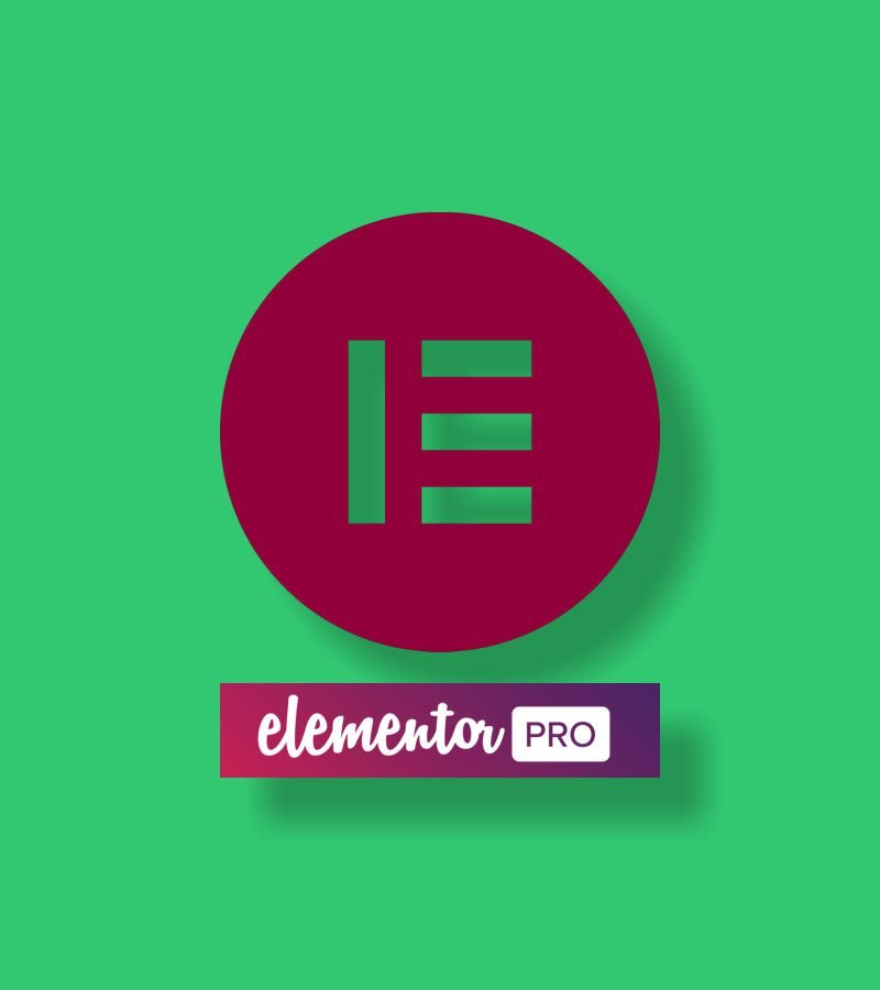 Elementor Pro