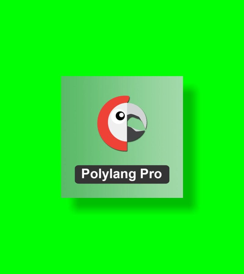 Polylang Pro